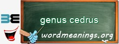 WordMeaning blackboard for genus cedrus